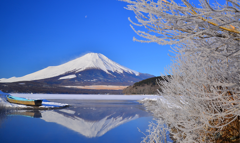 写真：富士山・静岡の旅
